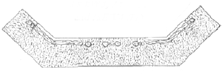 ews2.gif (51788 bytes)