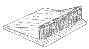ewx.gif (28151 bytes)